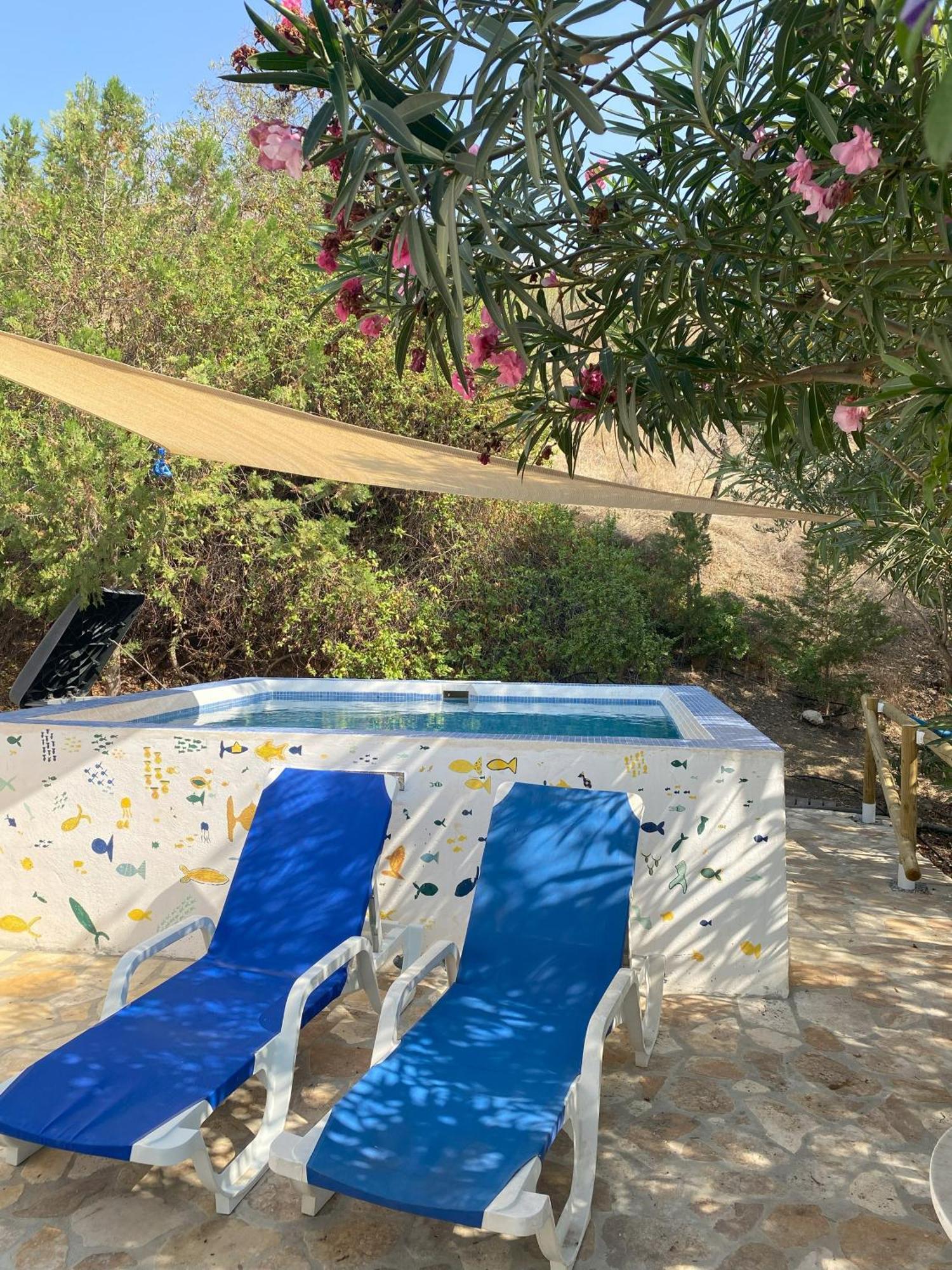 فيلا Casa Feliz Iznate المظهر الخارجي الصورة